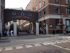 IMG_1310