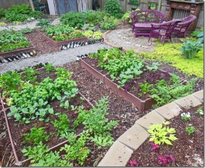 Back Veggie Garden Planting_thumb[2]