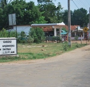 60593940