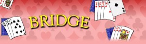 si-bridge